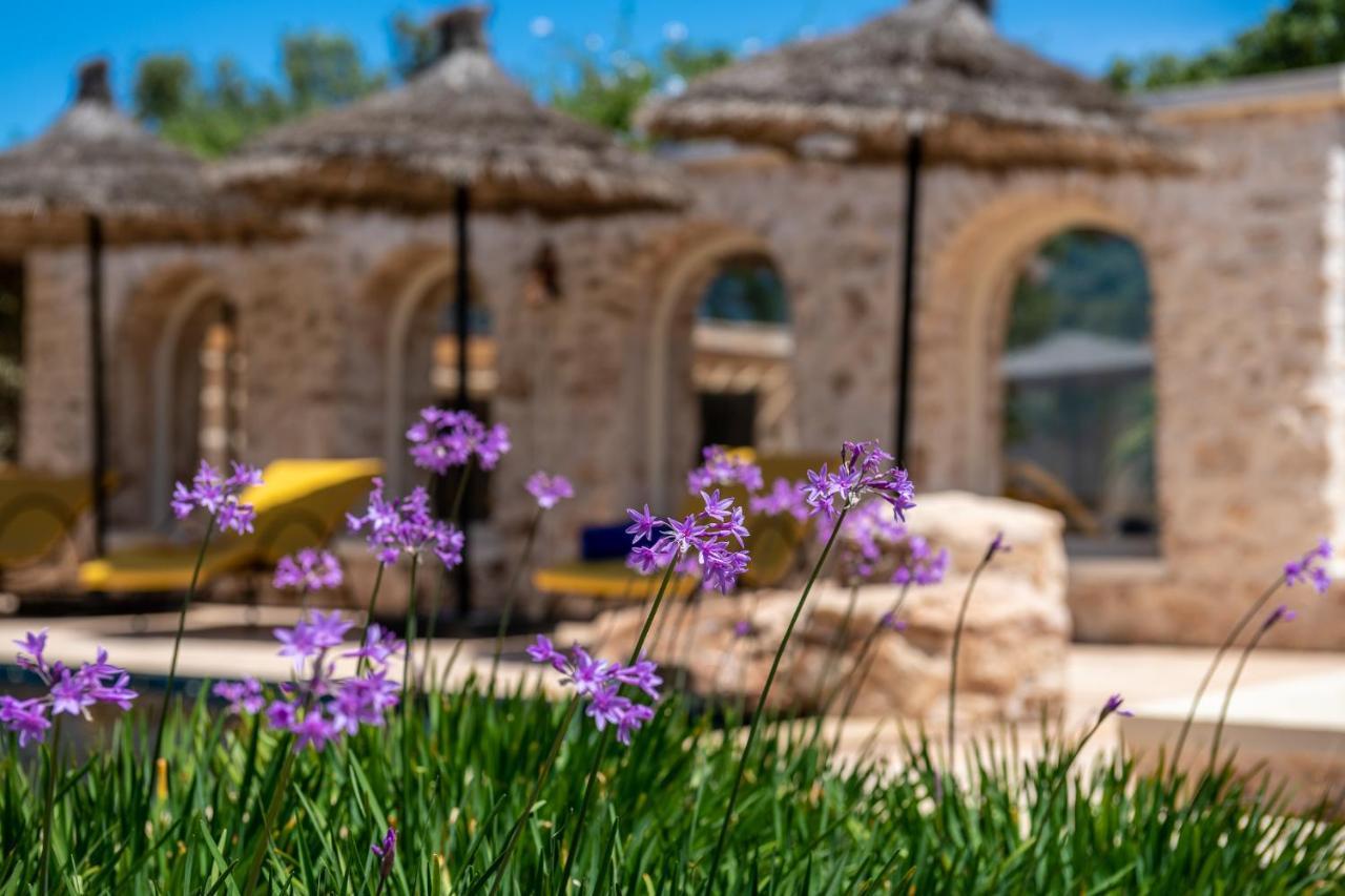 Absolu Beldi Essaouira Panzió Kültér fotó